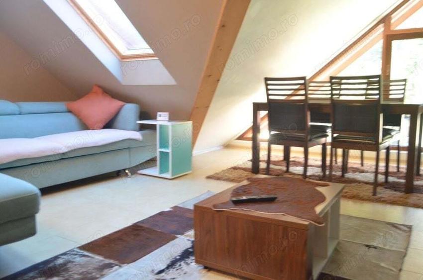 Apartament cu doua camere situat in Busteni - 4