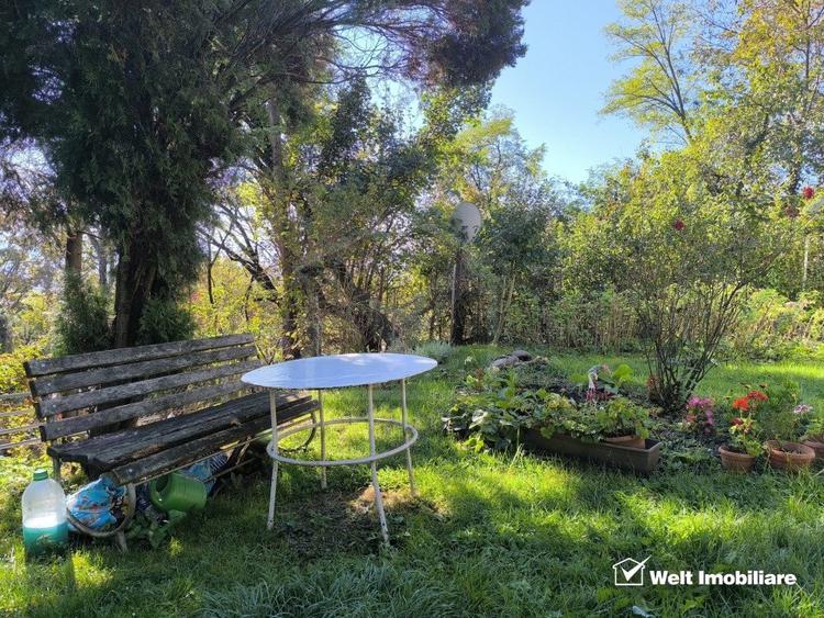 Casa veche, 3 camere, 978 m.p. teren, Grigorescu, locatie de vis - 10