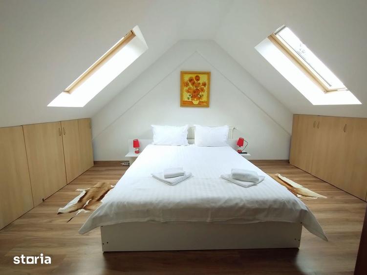 Apartament tip duplex in Sinaia - 10