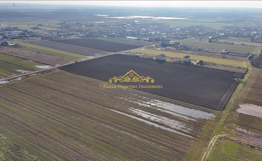 Teren intravilan case 10.000 mp, Str Sportului, Ulmi - 5