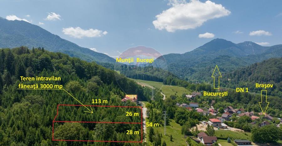 Teren intravilan, 3000 mp, Dambu Morii - 13