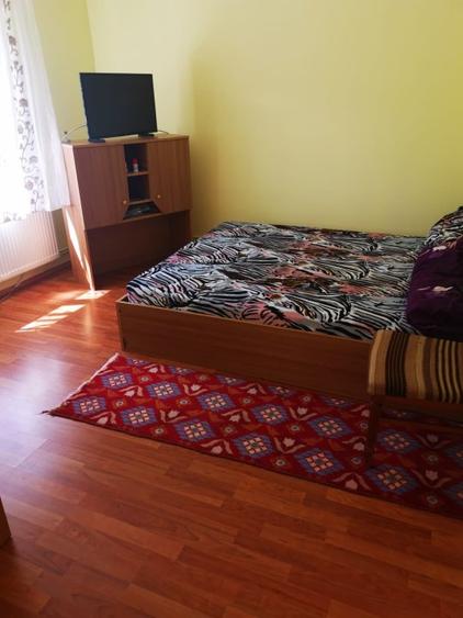 Casa P+M, Trivale - Cornu Vanatorului, teren 250 mp - 3