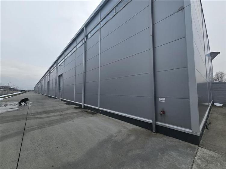 Hale de inchiriat in Pantelimon de la 1000 mp - 1