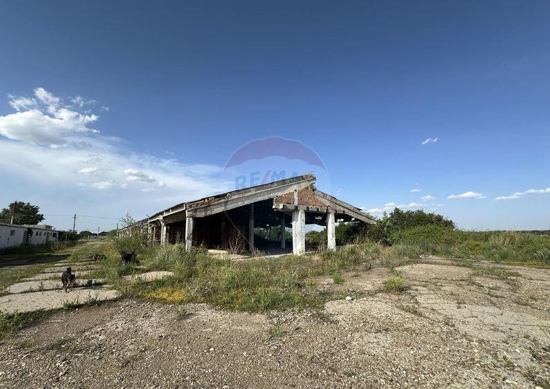 Spa?iu industrial Hale si Fabrica de lemn - 18