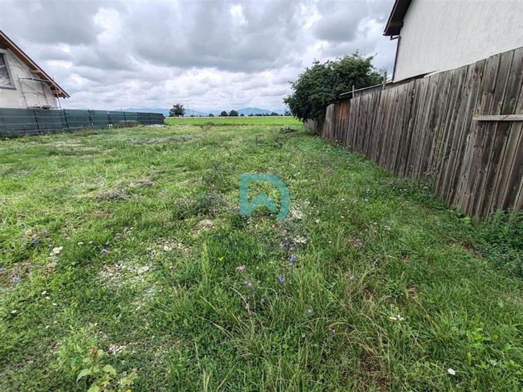 Teren intravilan de vanzare, 630 mp, Harman, Brasov, ideal investitie - 4