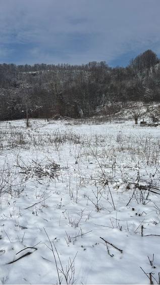 Teren intravilan/extravilan - 2