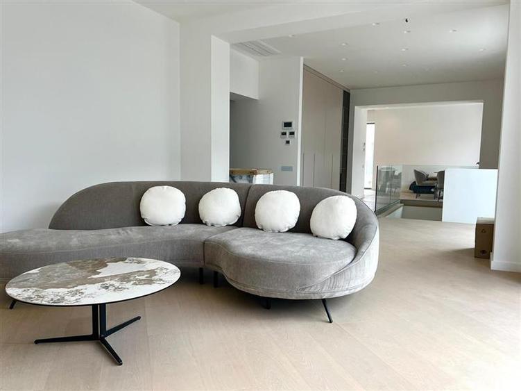 Duplex superb, 150 mp  - Aviatiei - 4