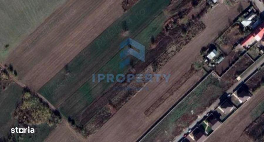 Teren Intravilan | Cernica-Sat Posta | 1588mp | UTR L1 - 1