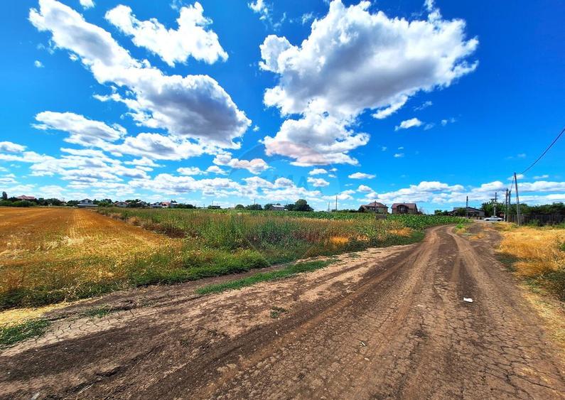 Teren Focsanei / DN sat Focsanei Vadu Pasii - 5