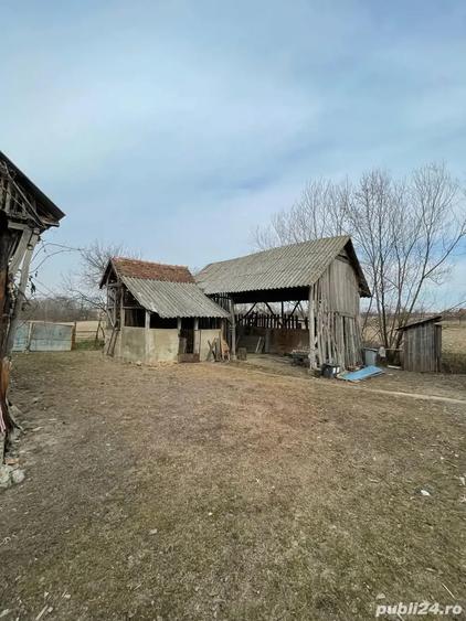 Casa de vanzare Cociuba Mare - 10