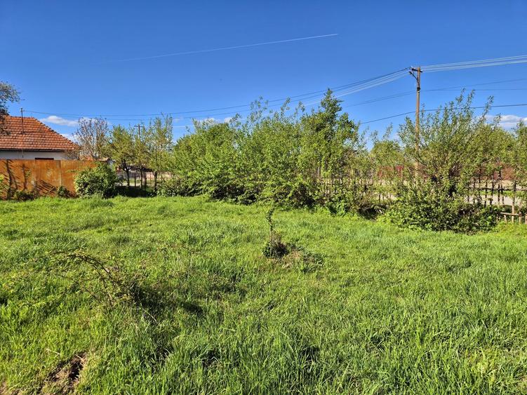 Comision 0 %/ Teren intravilan Sercaita 2247 mp - 6