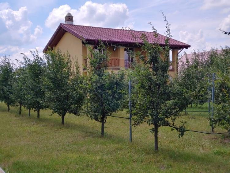 Casă / Vilă de lux cu 5 camere de vânzare în Vadu Moldovei, Suceava - 9