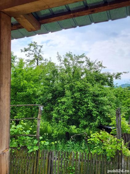 Vanzare casa ?i teren - 3