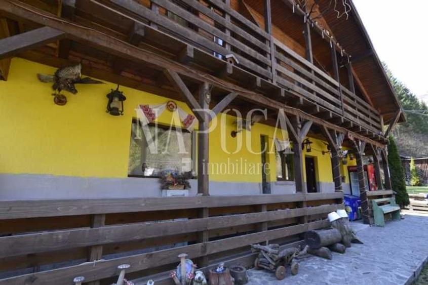 Casa 9 camere de vanzare in Sat Cerc, Valea Ierii - 10