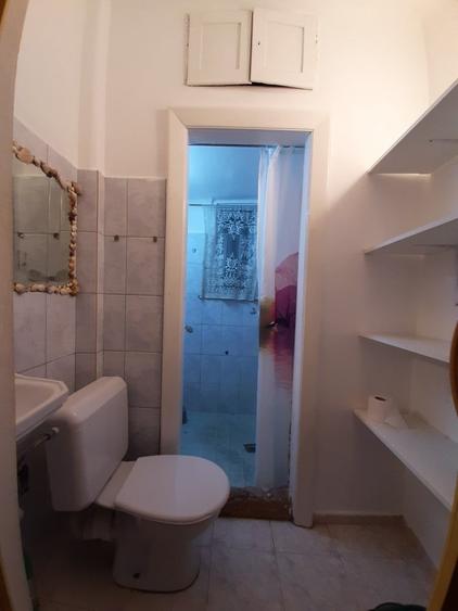 Cismigiu Parc-apartament de 2 camere - 3