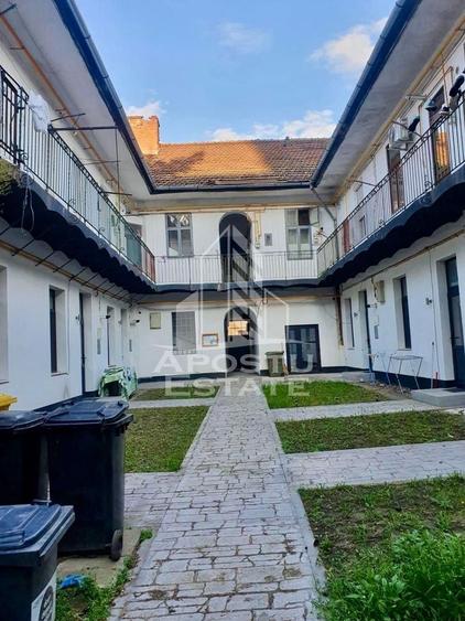 Apartament 1 camera de vanzare, curte comuna, zona Traian, Timisoara - 5