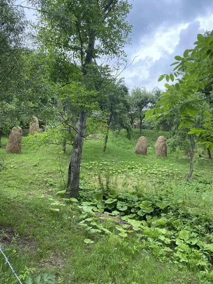 Casa ?i teren de vanzare - 1