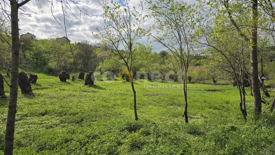 De vanzare teren superb in Ciurila – 500 mp de liniste, verdeata si potential - 1