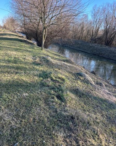 Teren- intravilan in DELTA- loc BALTENII DE JOS - 16