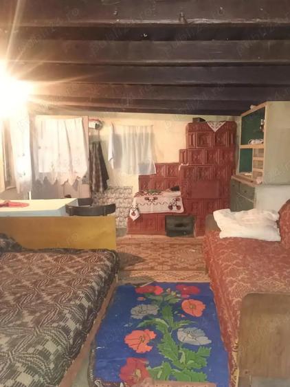 Casa batraneasca Bradeanu - 5