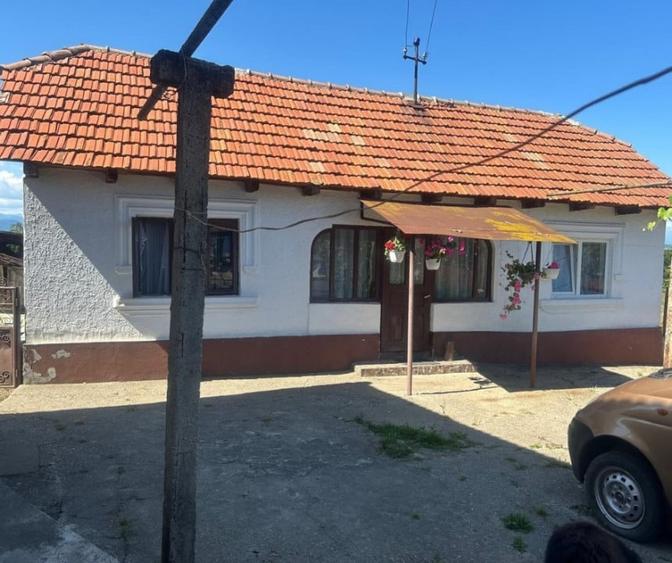 Gospodarie cu doua case si teren generos la tara – Șomanesti, Gorj - 2