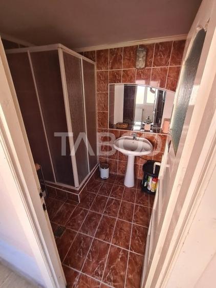 Casa cu spatiu comercial de vanzare in Sebes zona centrala - 13