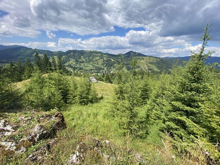 Teren rarau 10 min de partie extravilan parcela de jumatate 5600mp - 7