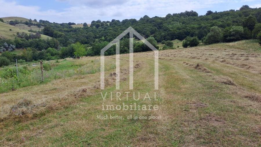 Teren extravilan de vanzare 15,600 mp zona loc... Hamba - 3