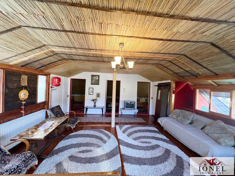 Casa de vacanta cu balta de peste de vanzare in Glogovet (Valea Lunga) - Blaj - 7