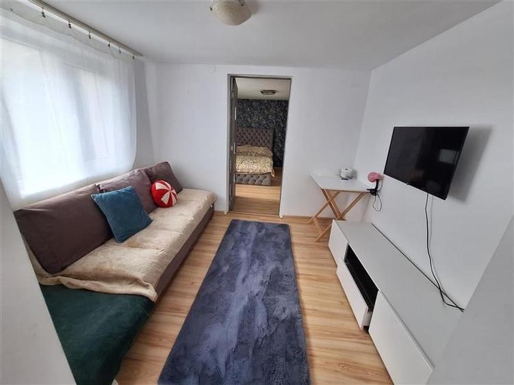 Proprietate ideala pentru familie extinsa sau investitie  Serbanesti, Bacau - 4