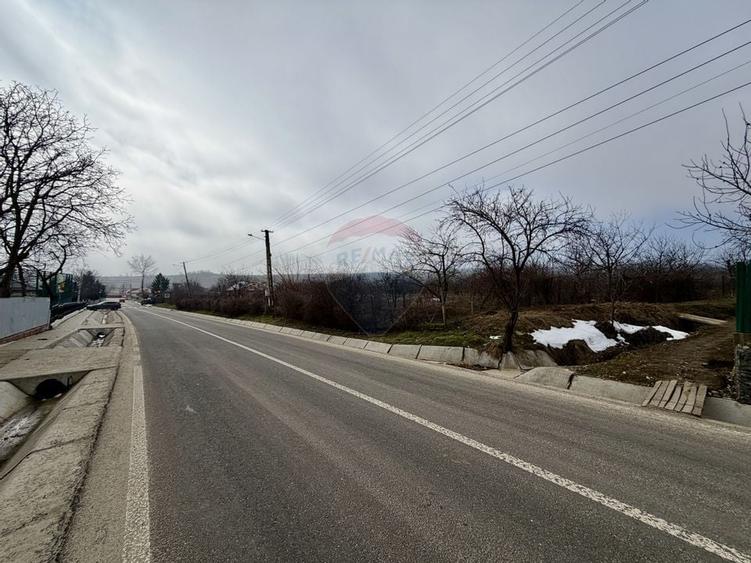 Casă cu 4 camere si teren 7727 mp Blidari - 3