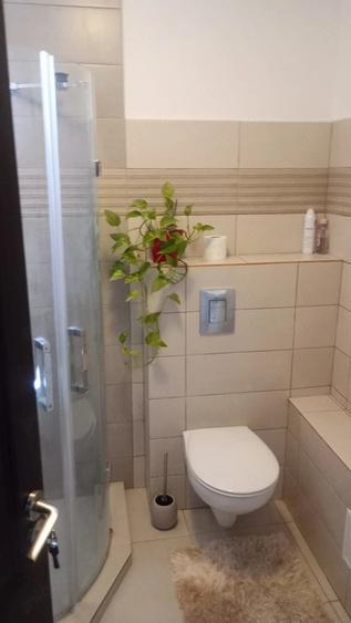 Apartament cu 2 camere decomandat în Precista