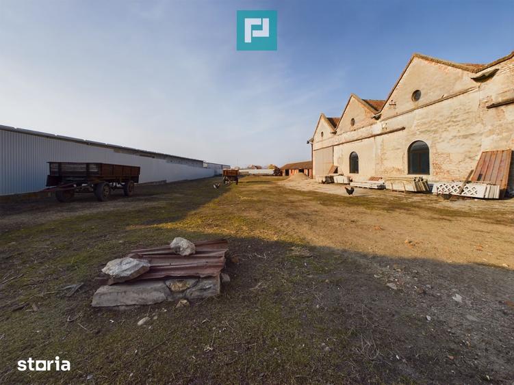 Teren de 7360 mp, în Periam