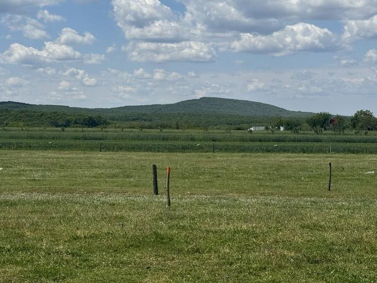 Teren de 500 mp, în Felcheriu