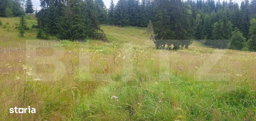 Teren 7.671 mp, (4.044 mp intravilan) zona Panaci - Vatra Dornei - 1