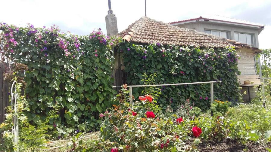 Casă cu 2 camere în Păltinișu
