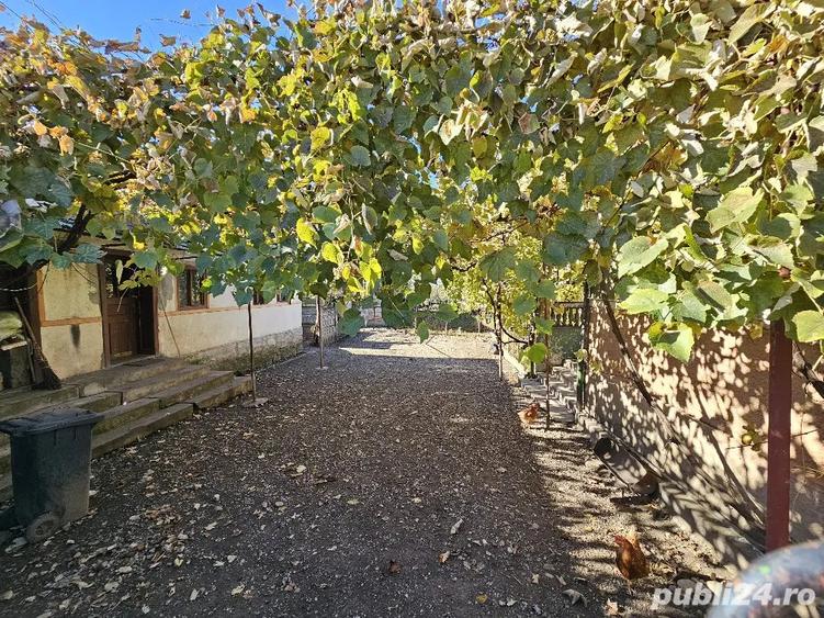 Casa de vanzare Petreni - 2