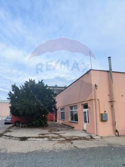 Spatiu industrial de 435mp de inchiriat in zona Sannicolau Mic - 22