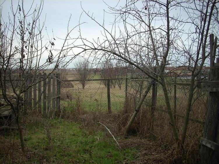 Casa cu 3.300 mp teren, in Vladimirescu! Ideal ansamblu rezidential! - 10