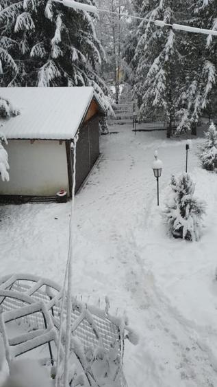 Casa spatioasa langa Belis-zona turistica, curte mare,ciubar - 3