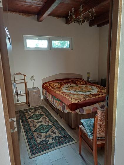 Vand Casa + garaj Sofronea - 4