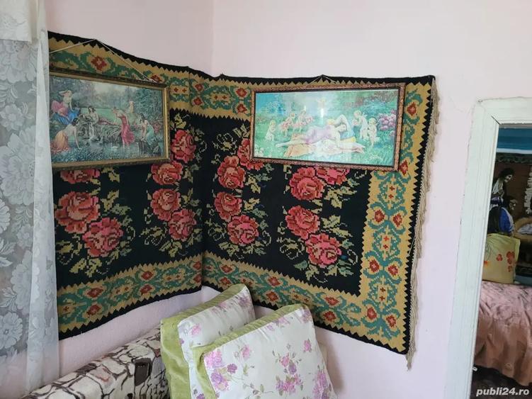 Casa batraneasca laga Vama Albita, Vaslui - 10