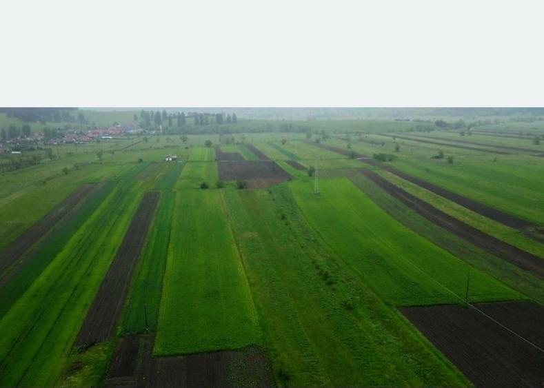 Teren extravilan - 1