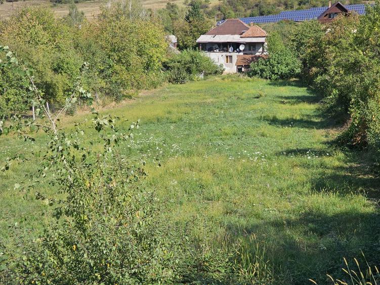 Teren de vanzare intravilan Baia Sprie - 1