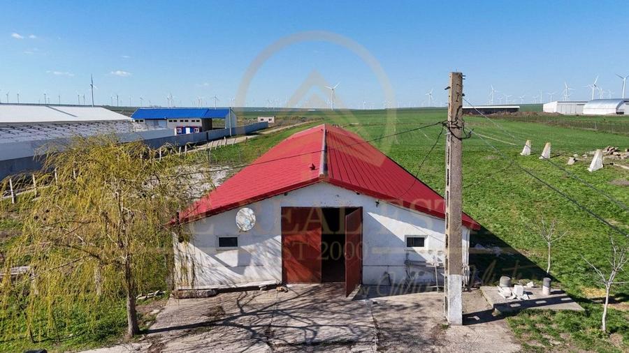 Tariverde - Ferma zootehnica functionala, 3 hectare teren intravilan! - 12