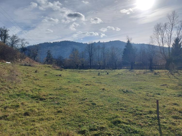 De vanzare teren intravilan 6500 mp Vama- Bucovina - 3