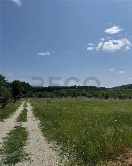 RECO teren in Paleu - 9