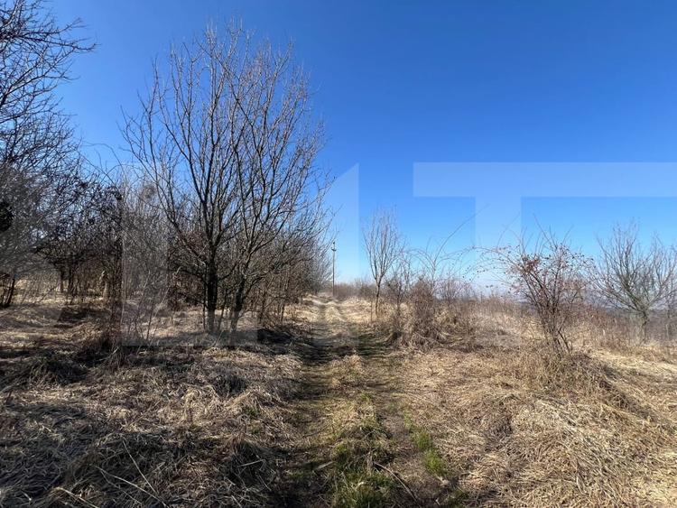 Teren agricol intravilan de 7052 mp, în Gheorghieni