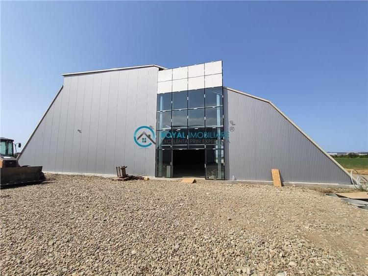Royal Imobiliare - Inchirieri Spatii industriale/ Hale - 2