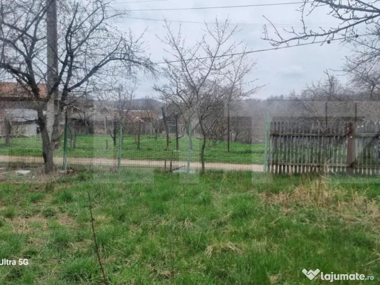 TEREN zona aer curat CASA si ANEXA - 2